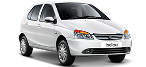 Popular Cartypes