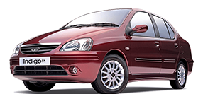 Popular Cartypes